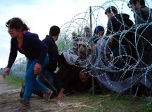 Hungary Erects Razor-Wire Fence Along 109 Miles Border To Restrict Migrants