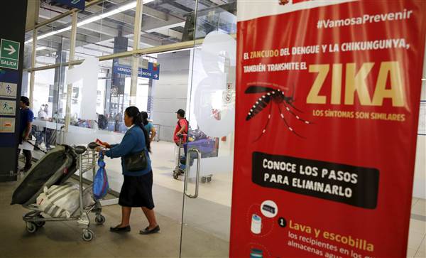 WHO Warns Pregnant Women Not To Travel To Zika Affected Countries