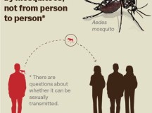Zika Virus Spreading Faster Than Thought Earlier