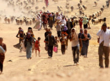 ISIS Committing Genocide Against Yazidis: UN Report