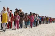 90% Of Refugee, Migrant Children To Europe Are Unaccompanied: UNICEF
