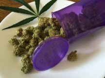 Cannabis Could Be the New Cure for Cancer