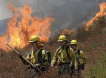 BREAKING: San Bernardino Wildfire Out Of Control, Emergency Declared