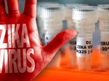 Zika Virus Can Harm Adult Brains Too: Study