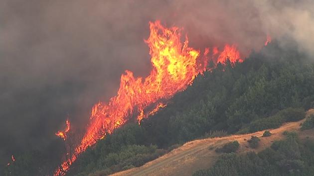 breaking-rapid-fire-spreading-in-santa-cruz-mountains