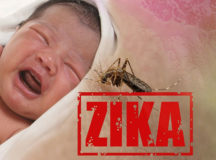 Pregnant Women Should Avoid 11 Southeast Asian Countries: CDC On Zika Virus