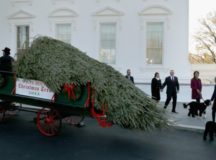 Michelle Obama Welcomes Official White House Christmas Tree