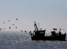 UK’s Fishing Industry Could Face Risk Post-Brexit: Report