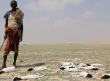 Somalia Is Near To Famine; 2010-11 Disaster To Repeat: UN