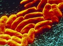 Antibiotics Increases Potency Of Superbug MRSA