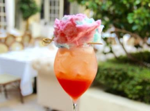 Easy Summer Cocktail Recipes For Beautiful Ladies