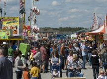 Annual Fall Fairs in Southern Ontario