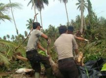 Death toll of Indonesia quake-tsunami reaches 800
