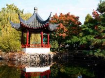 A guided tour of Nine Classical Gardens in China