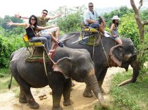 Elephant Trekking at Elephant Hills, Phuket