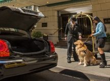 Dog Friendly Hotels in Portland Oregon and Coast