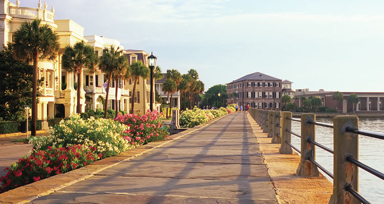 Planning Your Charleston Vacation: What to Do
