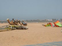 Morocco, Essaouira, Atlantic Windsurfing Resort