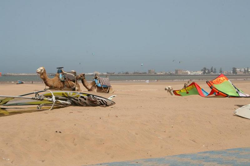 Morocco, Essaouira, Atlantic Windsurfing Resort