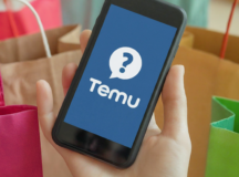 Decoding Temu: Is Our Love for the Shopping App Here to Stay?